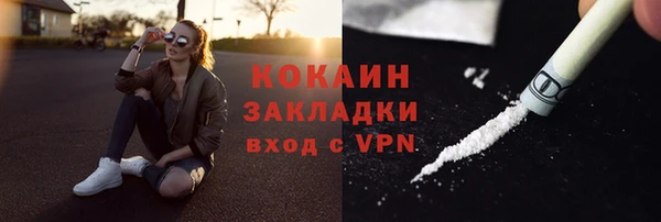 крисы Армянск